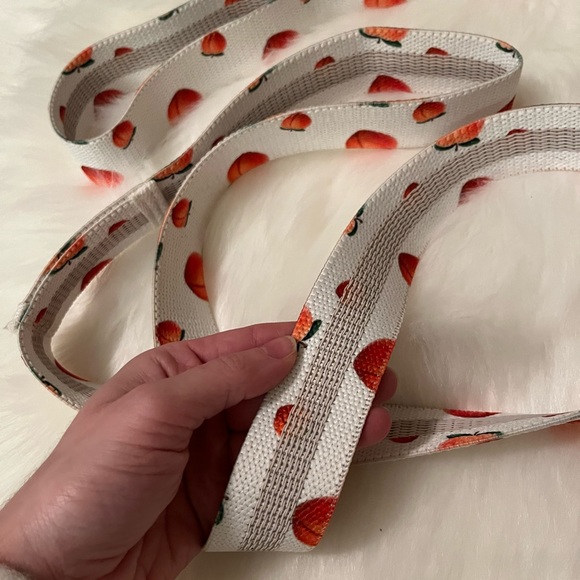 PEACH Long Band for Resistance Training and Mobility - Picture 6 of 6